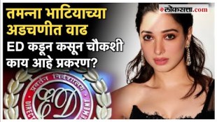 Tamannah Bhatia Questioned By ED in Mahadev Betting App Accusations After Ranbir Kapoor Kapil Sharma What is Case of Betting APP