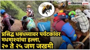 Tourists attacked by bees near Shitakada waterfall in Nashik