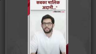 Aditya Thcakeray criticized state government over politics