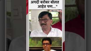 Sanjay Raut gave a reaction on MNS chief Raj Thackerays statement