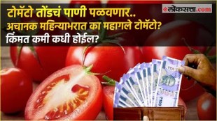 Why tomato prices are rising rapidly 120 rs kg tomato due to low farming and monsoon