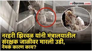 Maharashtra deputy speaker narhari zirwal many mp and mla jump from mantralaya