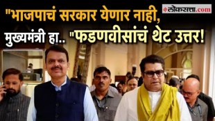 Deputy Chief Minister Devendra Fadnavis on Raj Thackeray statement