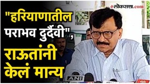 MP Sanjay Raut has reacted that the result in Haryana will not have any effect on Maharashtra