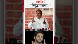 Ashish Shelars criticism of Aditya Thackeray