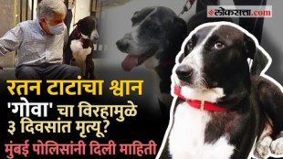 Ratan Tatas Pet Dog GOA Died News Goes Viral On Social Media Mumbai Police Give real Information