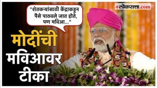 Pm Narendra Modi criticized Mahavikasaghadi over Maharashtra politics