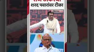 MNS President Raj Thackerays criticism of Sharad Pawar