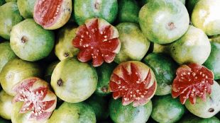 Roasted Guava