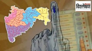 loksatta analysis which issue decisive in maharashtra assembly elections