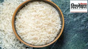 rice price drop global market
