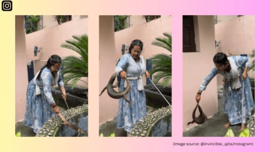 आता एका महिलेने घोरपडीला वाचवताना व्हिडिओ व्हायरल झाला आहे  आता एका महिलेने घोरपडीला वाचवताना व्हिडिओ व्हायरल झाला आहे