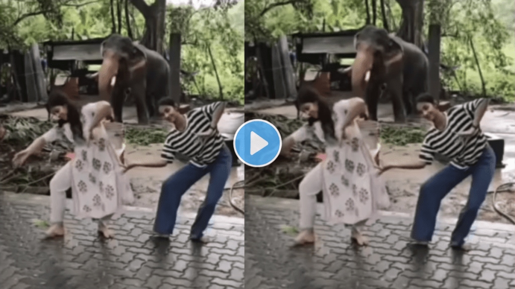 Is this elephant dancing with Bharatanatyam dancers Is this elephant dancing with Bharatanatyam dancers