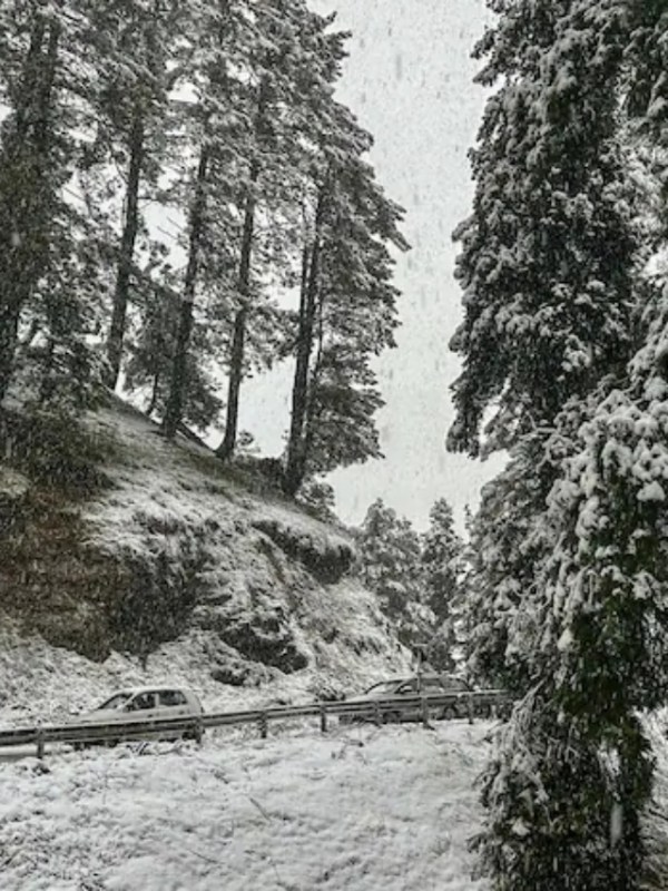 Kashmir SnowFall November 2024 Photos