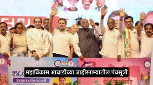 MVA Manifesto details Loksatta