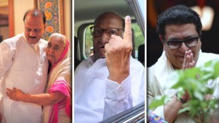 Maharashtra Assembly Election 2024 Politicians Voting