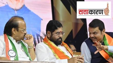 The BJP led the alliance with wins in 10 SC-reserved Assembly seats, followed by the Ajit Pawar-led NCP in five, Eknath Shinde-led Shiv Sena in four, and one going to a minor ally.