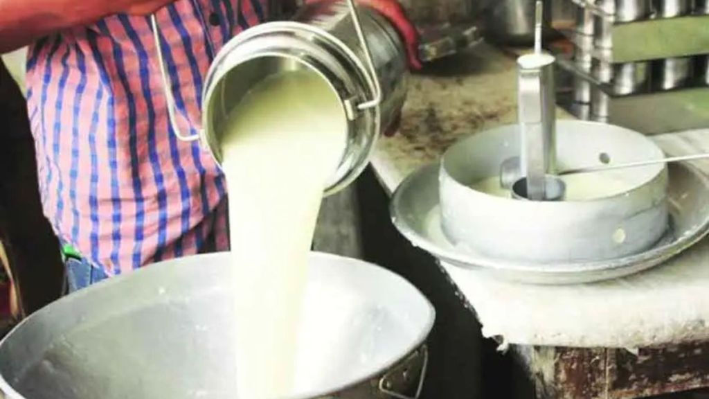 Cow milk purchase price reduced by Rs 3 in Kolhapur district