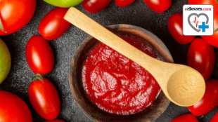 tomato ketchup adulteration