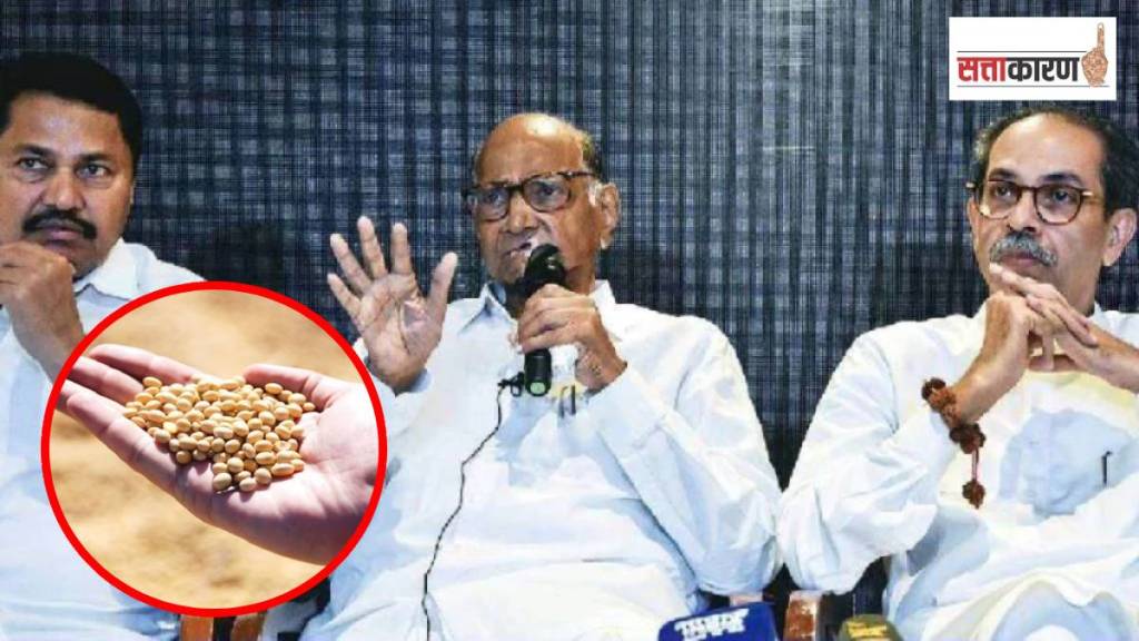 Soybean Price, Vidarbha, Ladki Bahin Yojana, Soybean Price, Vidarbha, Ladki Bahin Yojana,