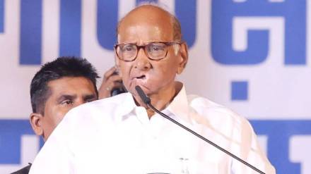Sharad Pawar On Maharashtra Assembly Election 2024 Result : Sharad Pawar On Maharashtra Assembly Election 2024 Result :