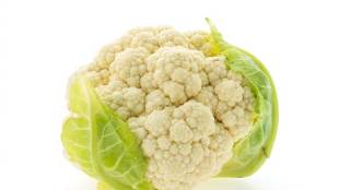 how to remove insects from cabbage