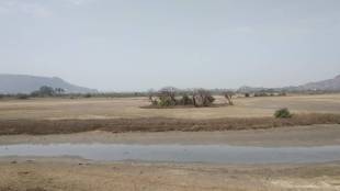 Panje Dongri wetlands, Uran, dry