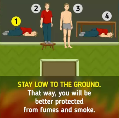 Optical Illusion Puzzle If You Were Trapped In A Fire Which Option ...