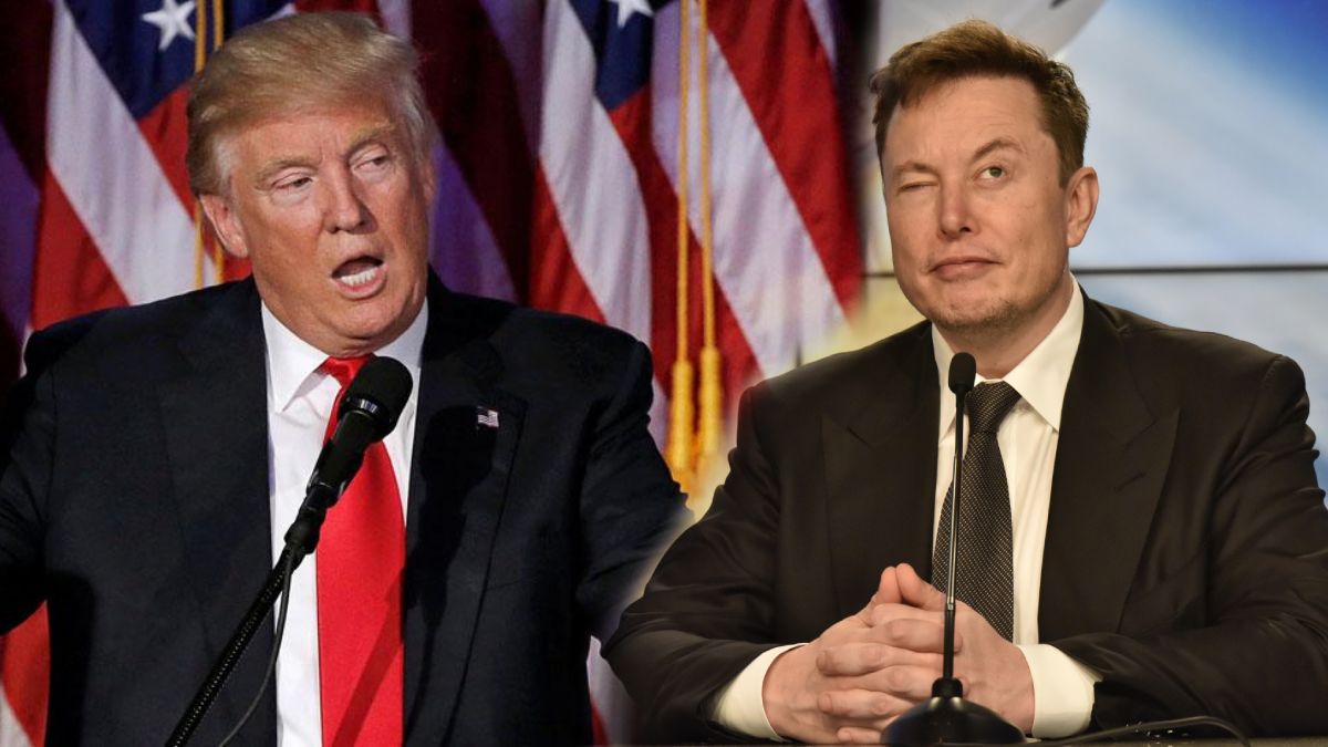 Elon musk company book massive profit after Donald trump win us ...