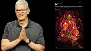 Apple CEO Tim Cook give diwali wishes with an photo of diyas clicked by an Indian photographer