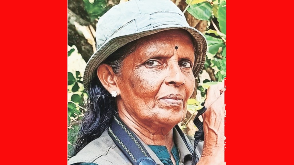 article about sudhamma life in forest article about sudhamma life in forest