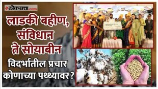 These issues remained in the discussion during the vidhansabha election 2024 campaign in Vidarbha