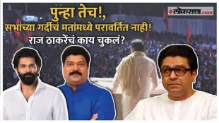 What is the reasons of MNSs defeat in the vidhansabha elections 2024
