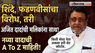 Nawab Malik Controversy the BJP Leaders against over nawab malik and dawood ibrahim relations