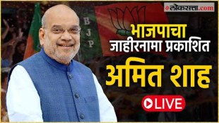BJPs manifesto has been published by Amit Shah