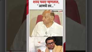 What did NCP Sharad Chandra Pawar party chief Sharad Pawar say on MNSs defeat