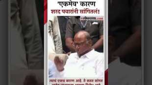 NCP Sharad Pawar on Maratha leader Manoj Jarange Patil
