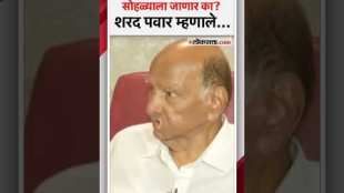 Will you go to the swearing-in ceremony of the new government in Sharad Pawar answered in one sentence