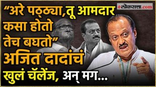 maharashtra assembly election ajit pawar challenge shirur mla ashok pawar