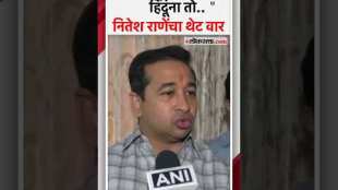 Nitesh Rane supports Raj Thackerays speaker comment