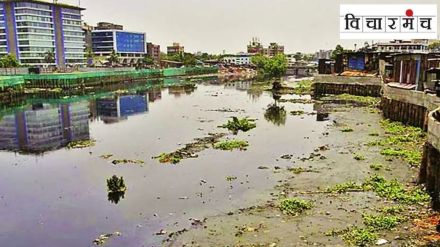 if want vote then Save rivers trees and hills