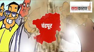 two young candidate win maharashtra assembly election 2024 in chandrapur district