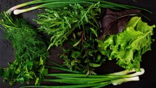 Leafy Green Vegetables