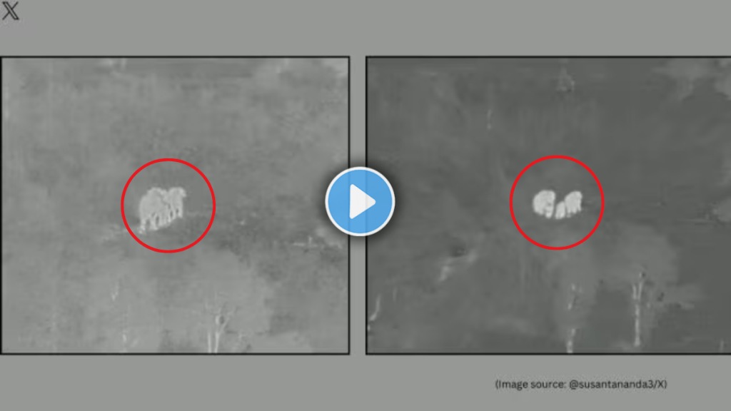 AI camera alerts authorities to halt train near Odisha elephant herd averting major accident video viral