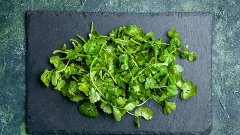 When to add coriander to vegetables Learn the correct method
