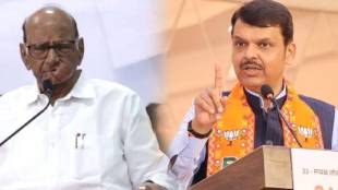 Devendra Fadnavis On Sharad Pawar :