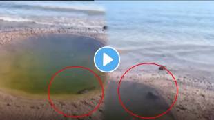 One decision can change your life fish jumping in big ocean shocking video goes viral
