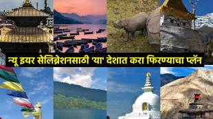 New Year 2025 celebraton plan