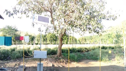 Leopard Solar Fence Junnar , Junnar Forest Department, Leopard Solar Fence Junnar , Junnar Forest Department,