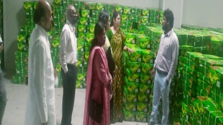 Green chillies from Vidarbha, Green chillies,